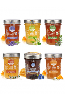 lot de miels enrichi à la gelée royale 250g