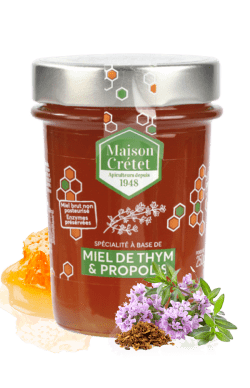 Teaya Taste my World II BIO, avec cassis, églantier, pomme, fraise,  lavande, buisson de miel, moringa, thé vert, cannelle et fleur de muscade,  lot de 5 (5 x 16 sacs filtrants) : : Epicerie