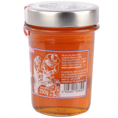 Miel De Thym Grec – Ergastiri Meliou – 750g – Le Plus Primé – Neuf