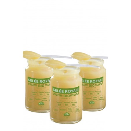 gelée royale bio gelée royale bio