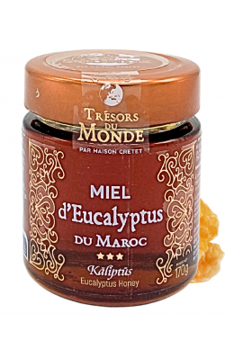 EUCALYPTUS MAROC