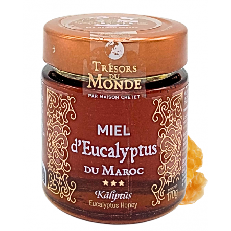 EUCALYPTUS MAROC