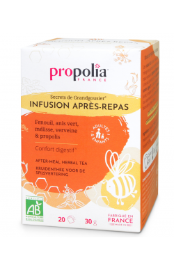 Infusion après repas au fenouil