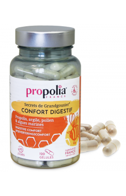 gélules confort digestif