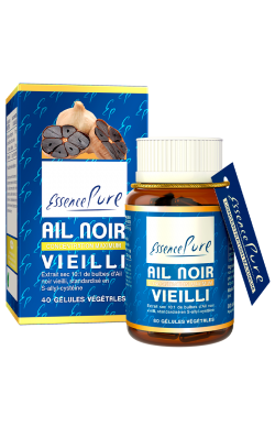 Ail noir vieilli
