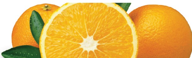 vitamine c