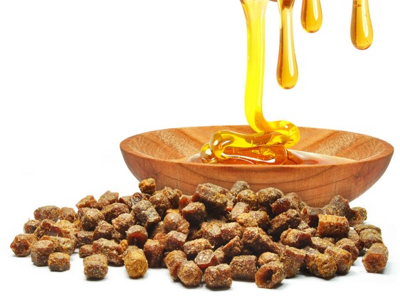 propolis fraiche