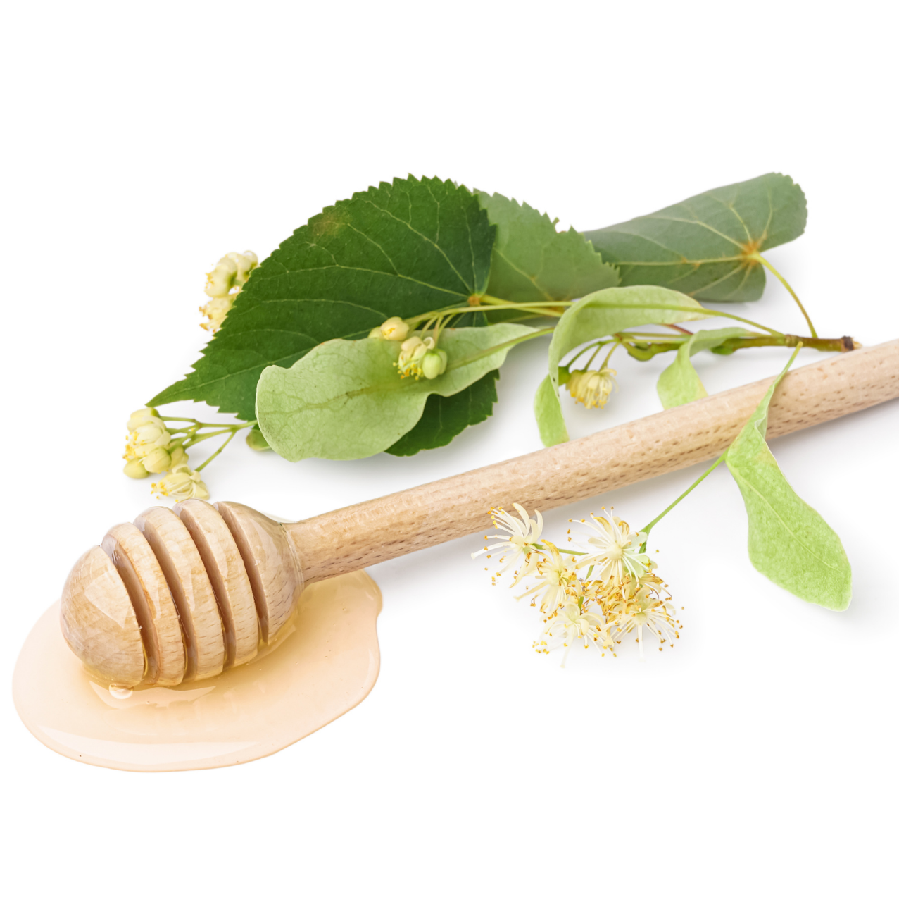 Design sans titre (9).png