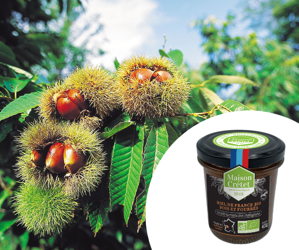 miel bio france chataigniers