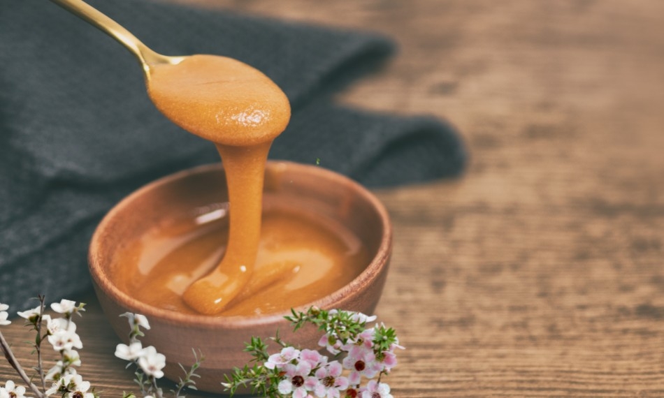Pourquoi le miel de Manuka est-il si cher ?