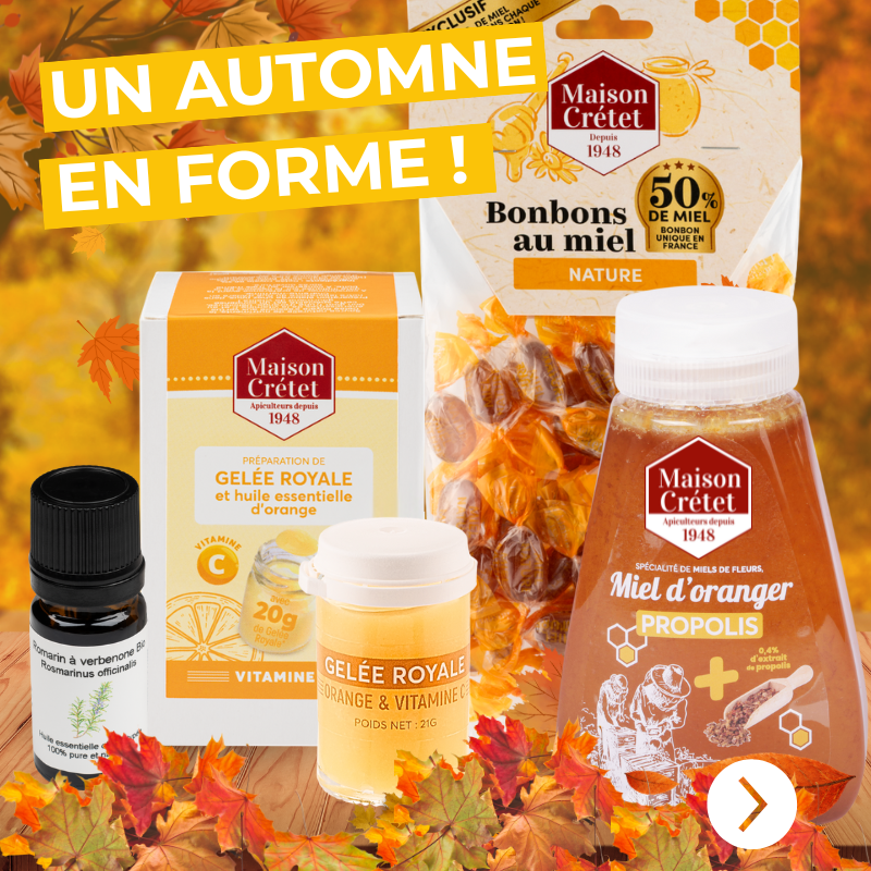 bannièreautomne